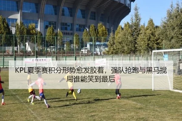 img_1781925262711_63_2_321.jpg